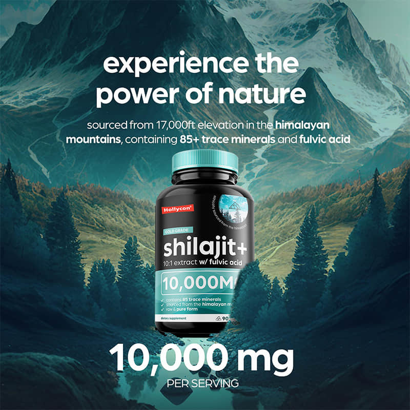 OEM 순수한 히말라야 시라지트 10000mg 유기적인 시라지트 캡슐 면역 지원