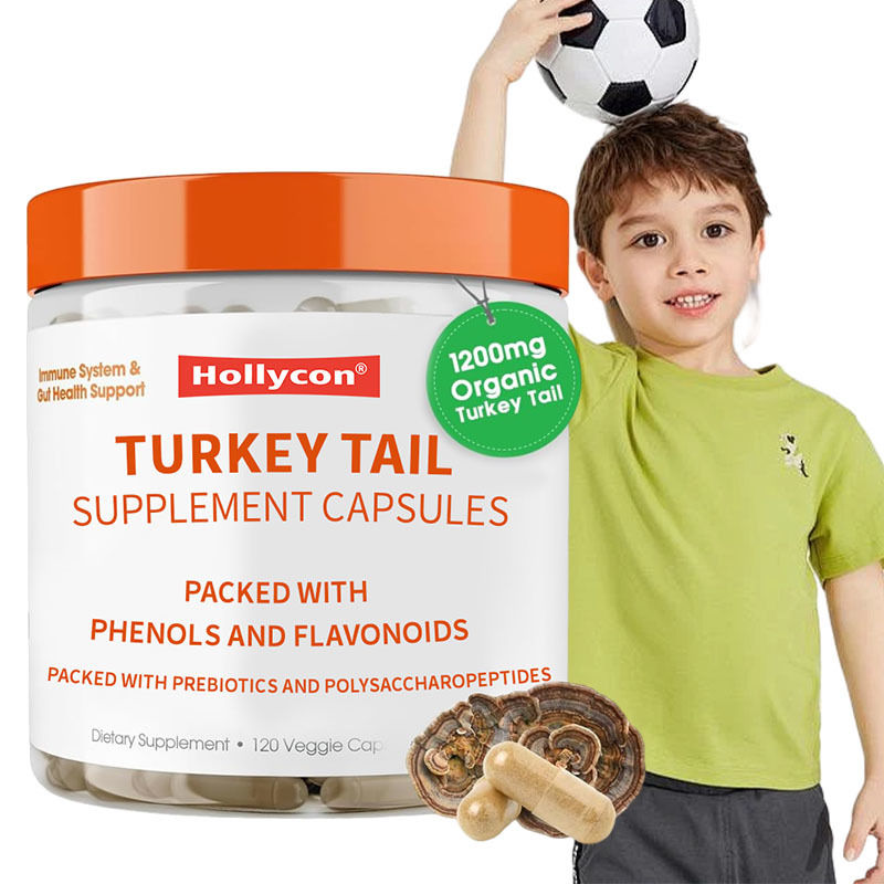 OEM 전반적인 건강 증진 지원 신체의 자연 방어 메커니즘 산화 문제와 싸우는 터키 꼬리 캡슐