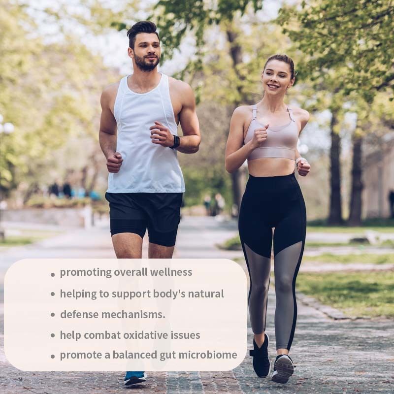 OEM 전반적인 건강 증진 지원 신체의 자연 방어 메커니즘 산화 문제와 싸우는 터키 꼬리 캡슐