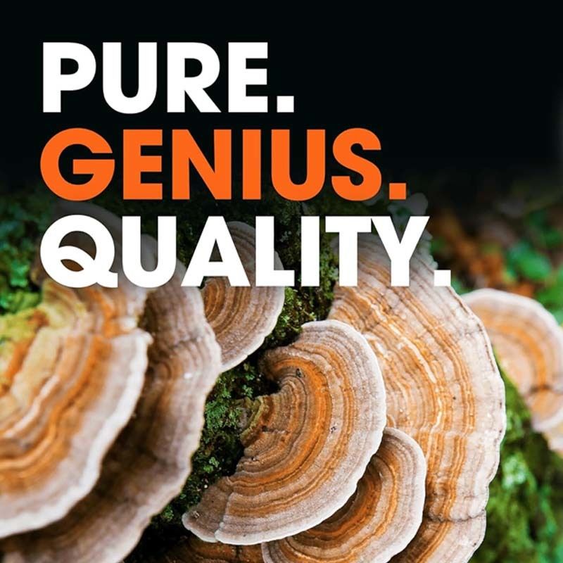 OEM 전반적인 건강 증진 지원 신체의 자연 방어 메커니즘 산화 문제와 싸우는 터키 꼬리 캡슐