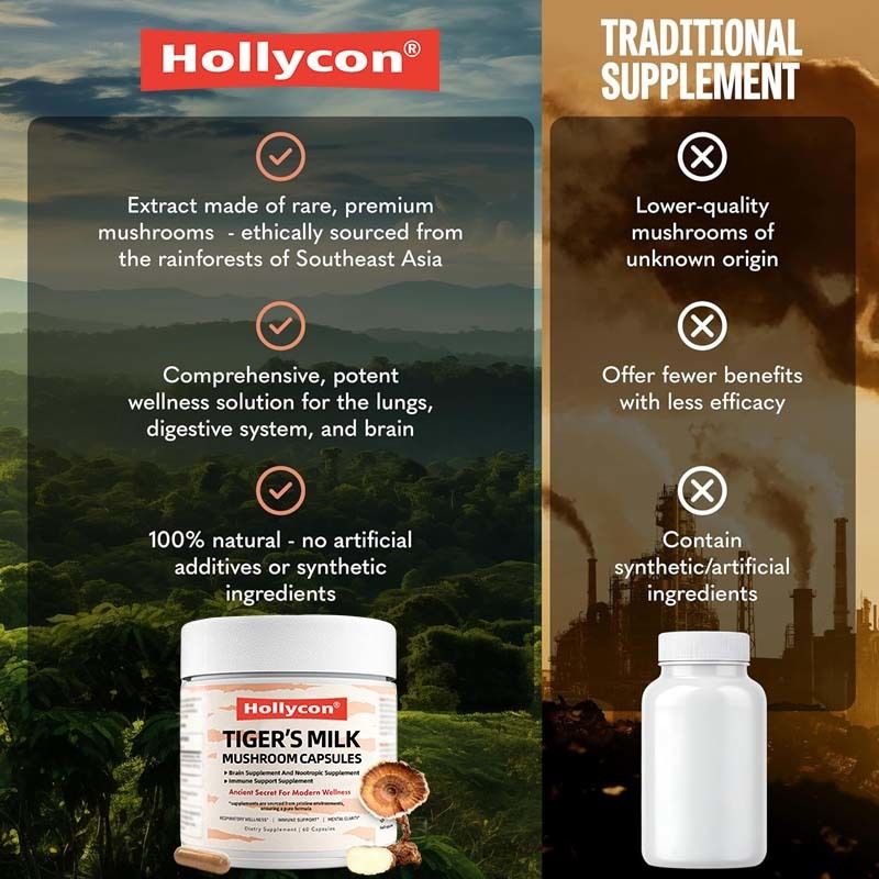 버섯 보충제 모발 성장 장 소화 뇌 폐 건강 인지 집중 호흡 타이거 밀크 버섯 캡슐