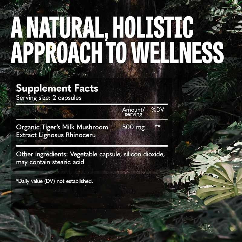 버섯 보충제 모발 성장 장 소화 뇌 폐 건강 인지 집중 호흡 타이거 밀크 버섯 캡슐