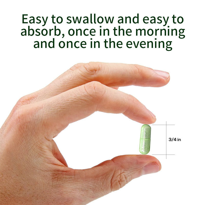 OEM Single Origin Moringa Powder Organic Moringa Leaf Supplement Energy Metabolism & Immune Support Moringa Capsules