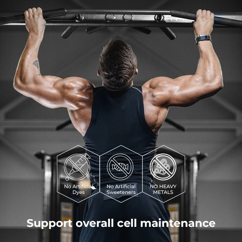 사설 레이블 쉴라지트 남성용 고무 Fulvic Acid Sugar Free Supplement 정상 에너지 수준과 면역 기능을 유지합니다