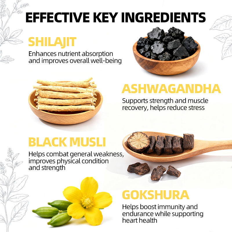 사설 레이블 아슈바간다와 함께 쉴라지트 험미 에너지 증진 운동 면역력 향상 순수한 히말라야 쉴라지트 보충제