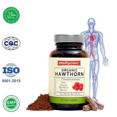 유기농 하오스톤 베리 캡슐 은 혈액 순환 을 촉진 하며 심장 건강 을 향상 시킨다