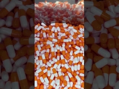 버섯 슈퍼 푸드 매일 부스트 캡슐